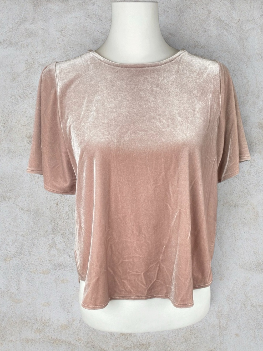 Madewell Blush Pink Velvet Flutter Sleeve Top Small Coquette Balletcore Romantic - Picture 2 of 8